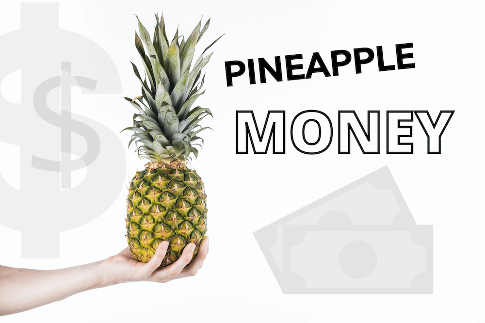 Is $60,000 a Year a Good Salary in 2022? - Pineapple Money